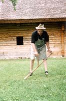 Škot in kosa